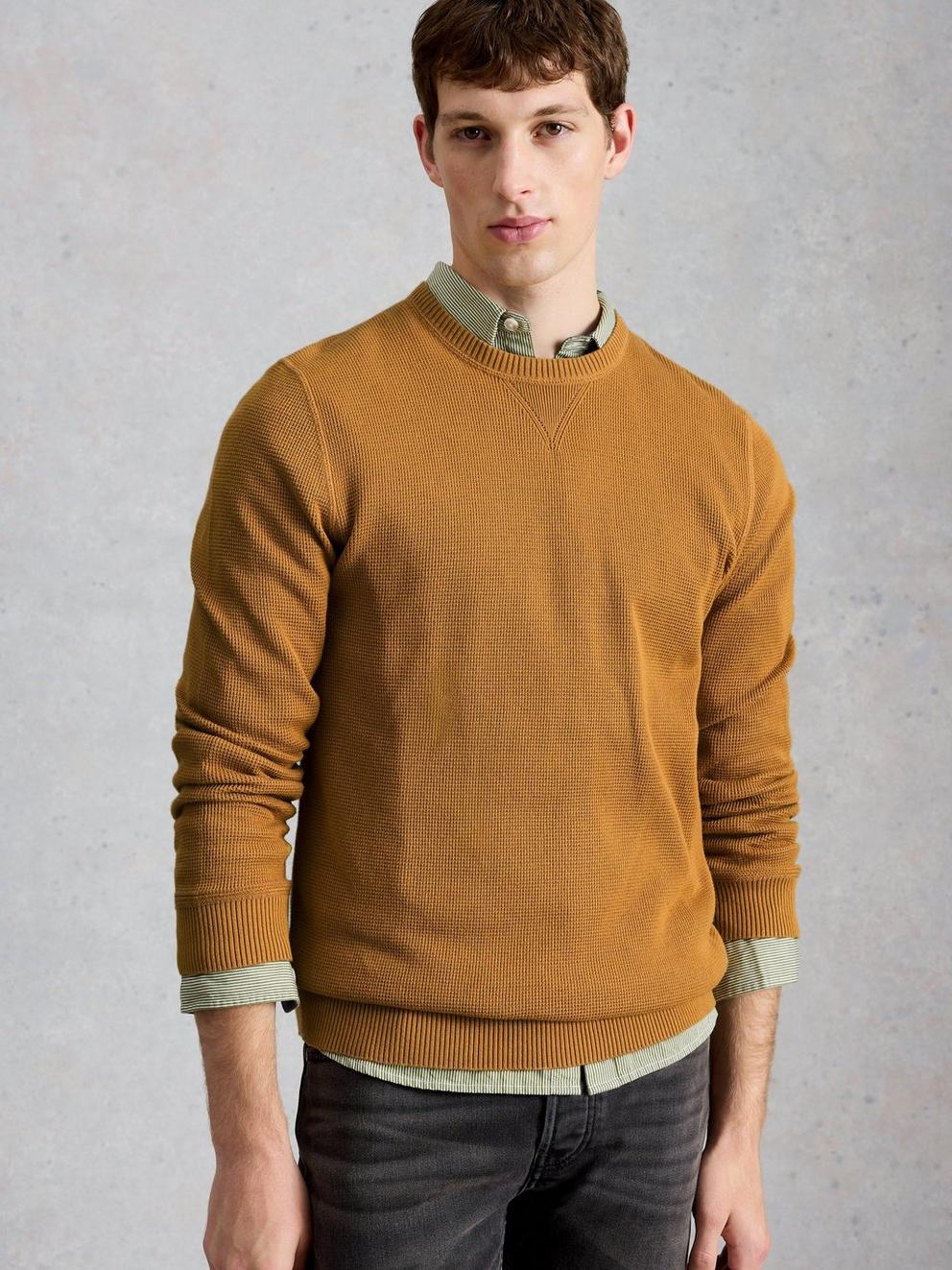 Attadale Long Sleeve Crew Neck Jumper in DUS YELLOW - MODEL DETAIL