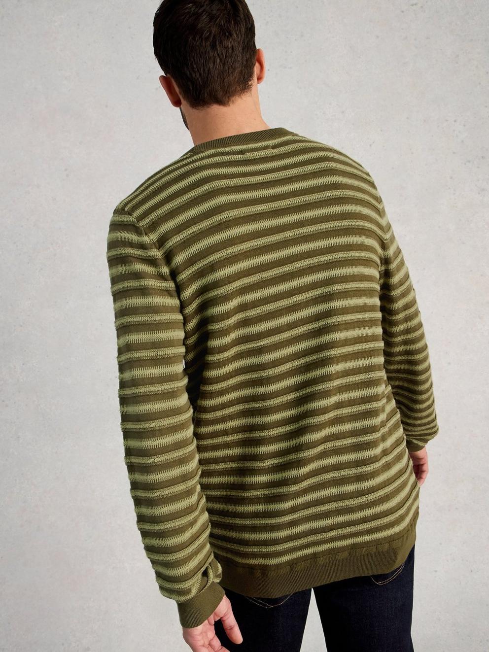 Attadale Crew Neck Stripe in GREEN MLT - MODEL BACK