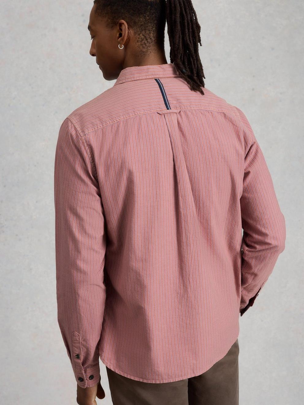Bruton Stripe Collared Shirt in LGT PINK - MODEL BACK