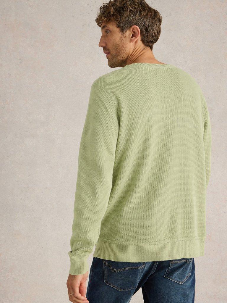 Attadale Plain Crew Neck Jumper in LGT GREEN - MODEL BACK