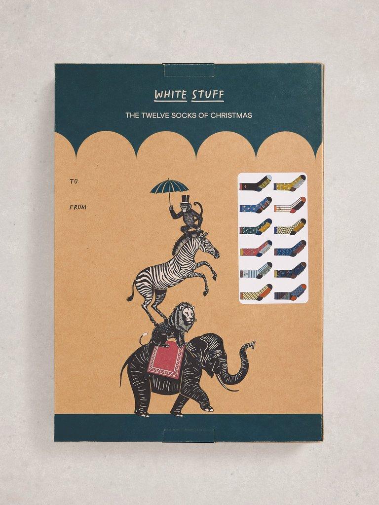 Mens 12 Days Sock Advent in NAVY MULTI - FLAT BACK