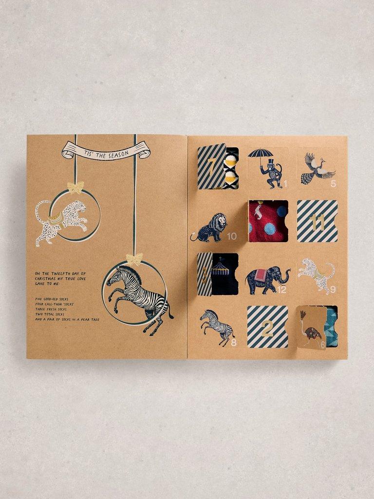 Mens 12 Days Sock Advent in NAVY MULTI - MODEL FRONT