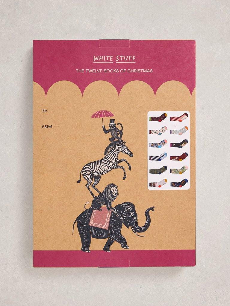 Womens 12 Days Sock Advent in PINK MLT - FLAT BACK