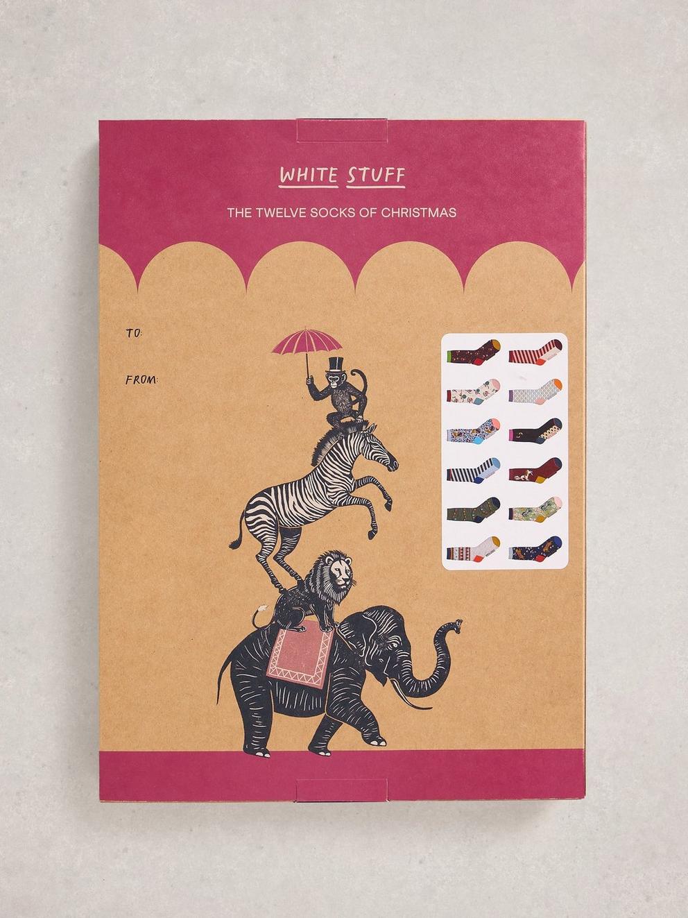 Womens 12 Days Sock Advent in PINK MLT - FLAT BACK