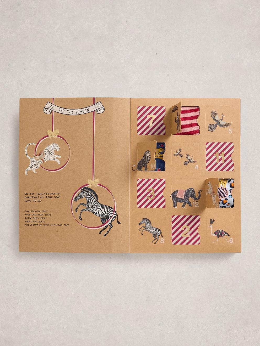 Womens 12 Days Sock Advent in PINK MLT - LIFESTYLE