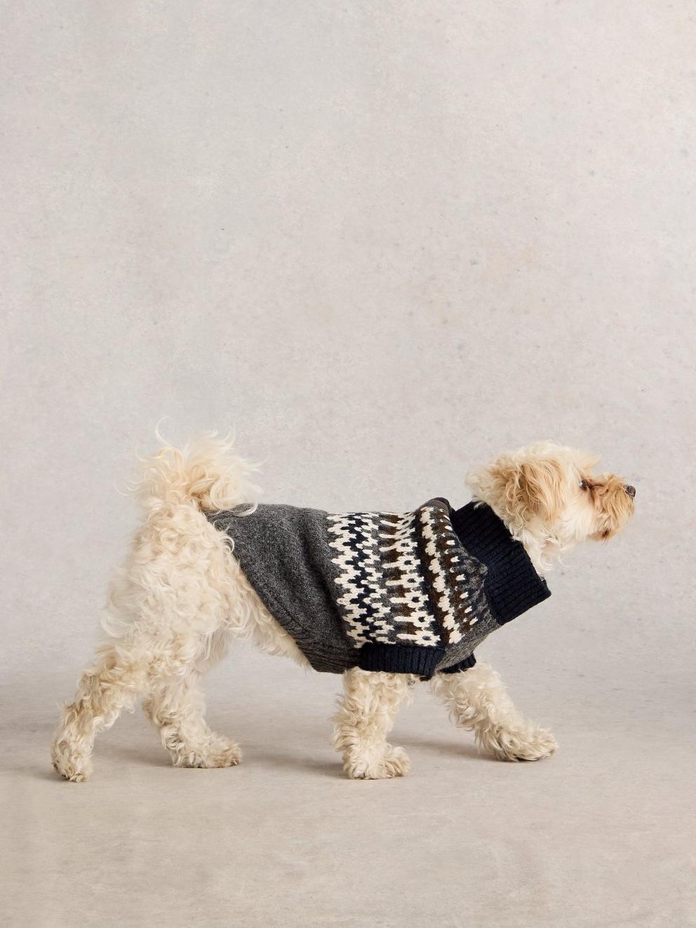 DOG FAIRISLE JUMPER in GREY MLT - MODEL DETAIL