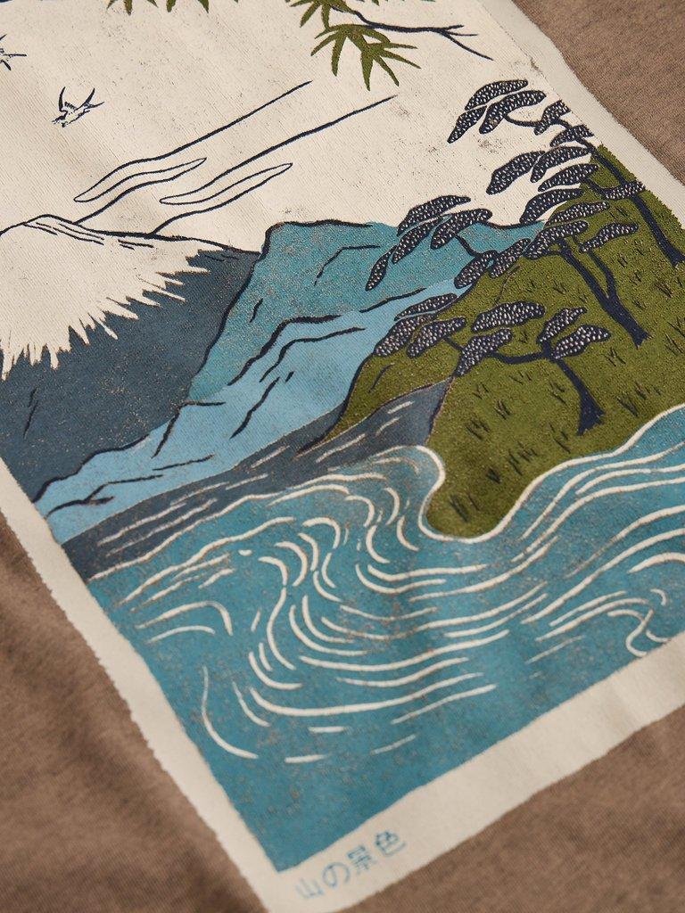 Fuji Graphic Tee in BROWN PR - FLAT DETAIL