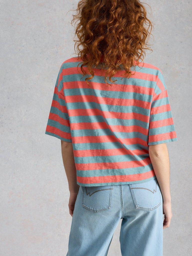 KATYA STRIPE T-SHIRT in CORAL MLT - MODEL BACK