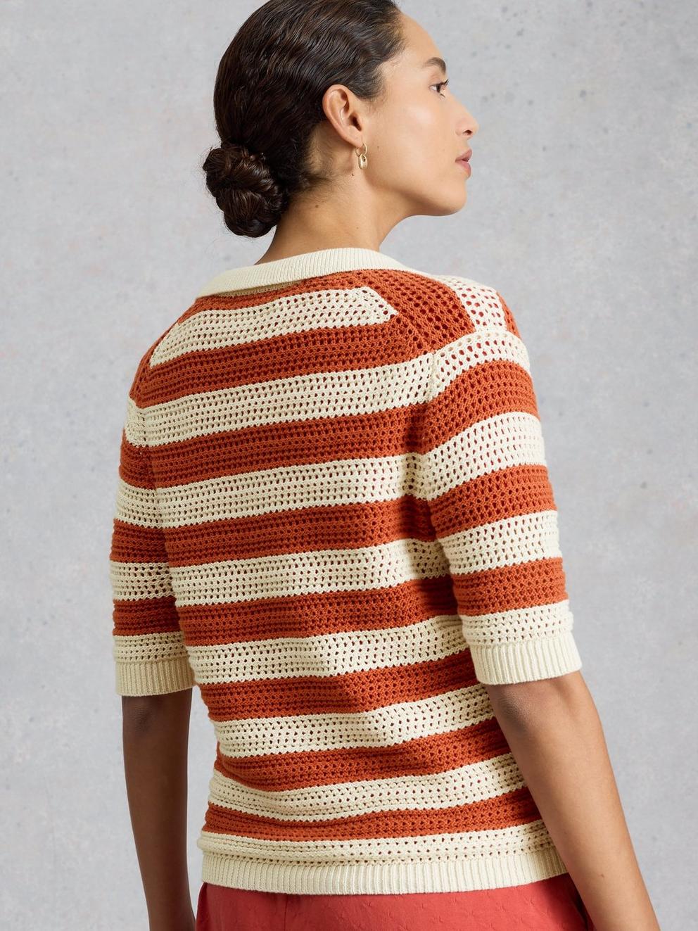 COOPER KNITTED STRIPE POLO in BROWN MLT - MODEL BACK