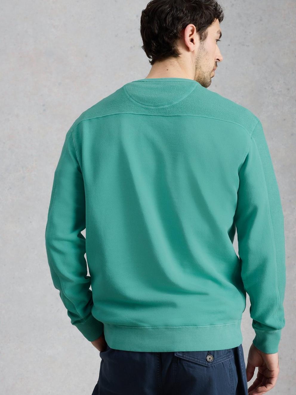 Sidmouth Crew Neck Jumper in MID GREEN - MODEL BACK
