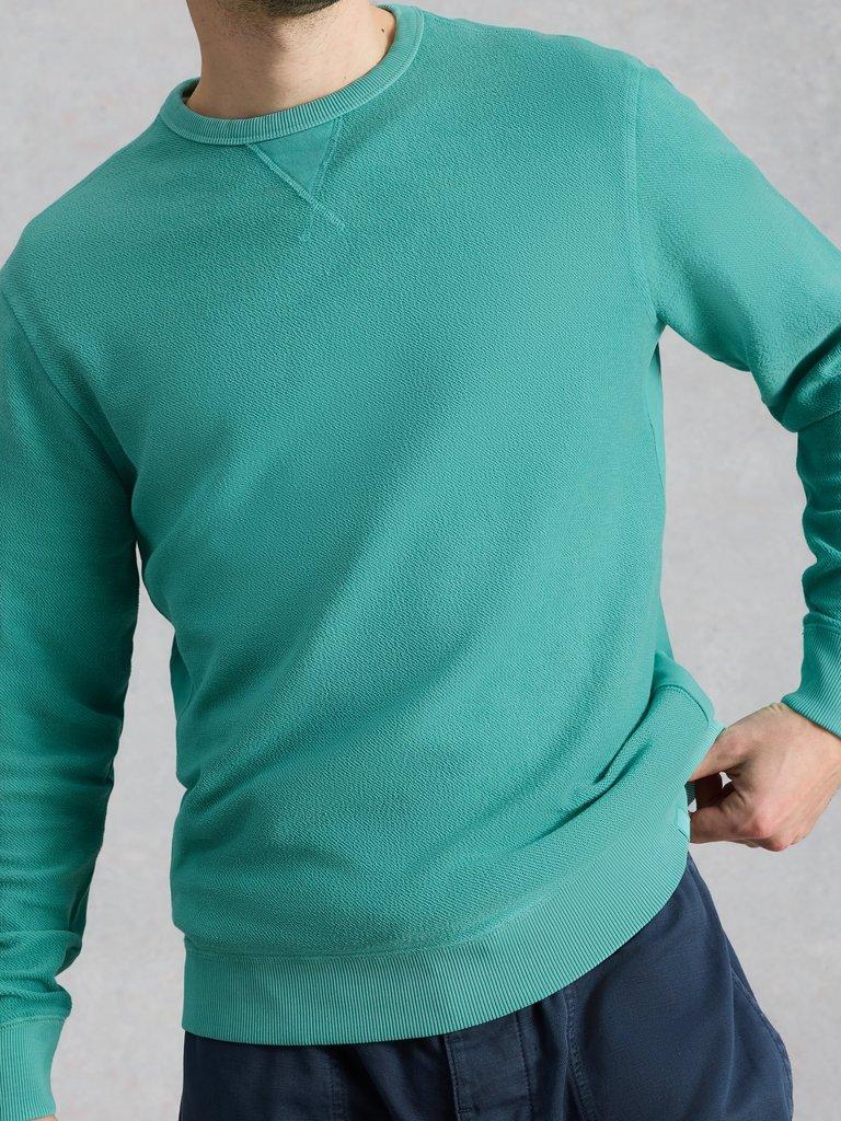 Sidmouth Crew Neck Jumper in MID GREEN - MODEL DETAIL