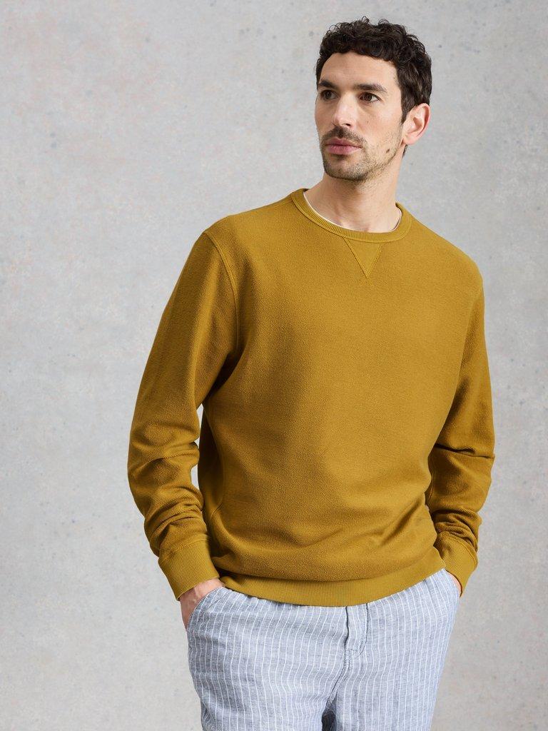 Sidmouth Crew Neck Jumper in MID YELLOW - MODEL DETAIL
