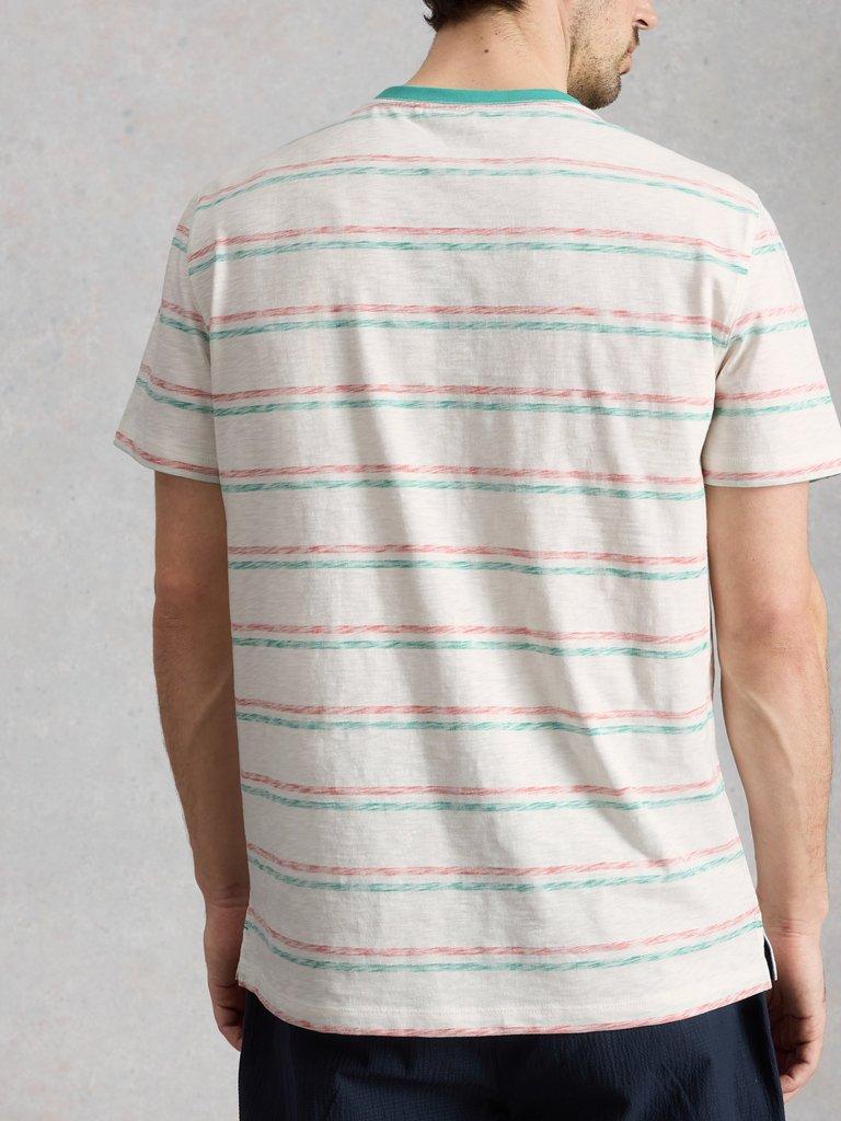 Abersoch Reverse Stripe SS Tee in GREEN MLT - MODEL BACK