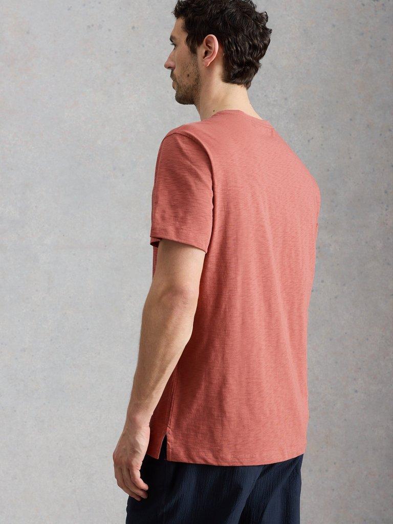 Abersoch Camel Graphic Tee in PINK PR - MODEL BACK