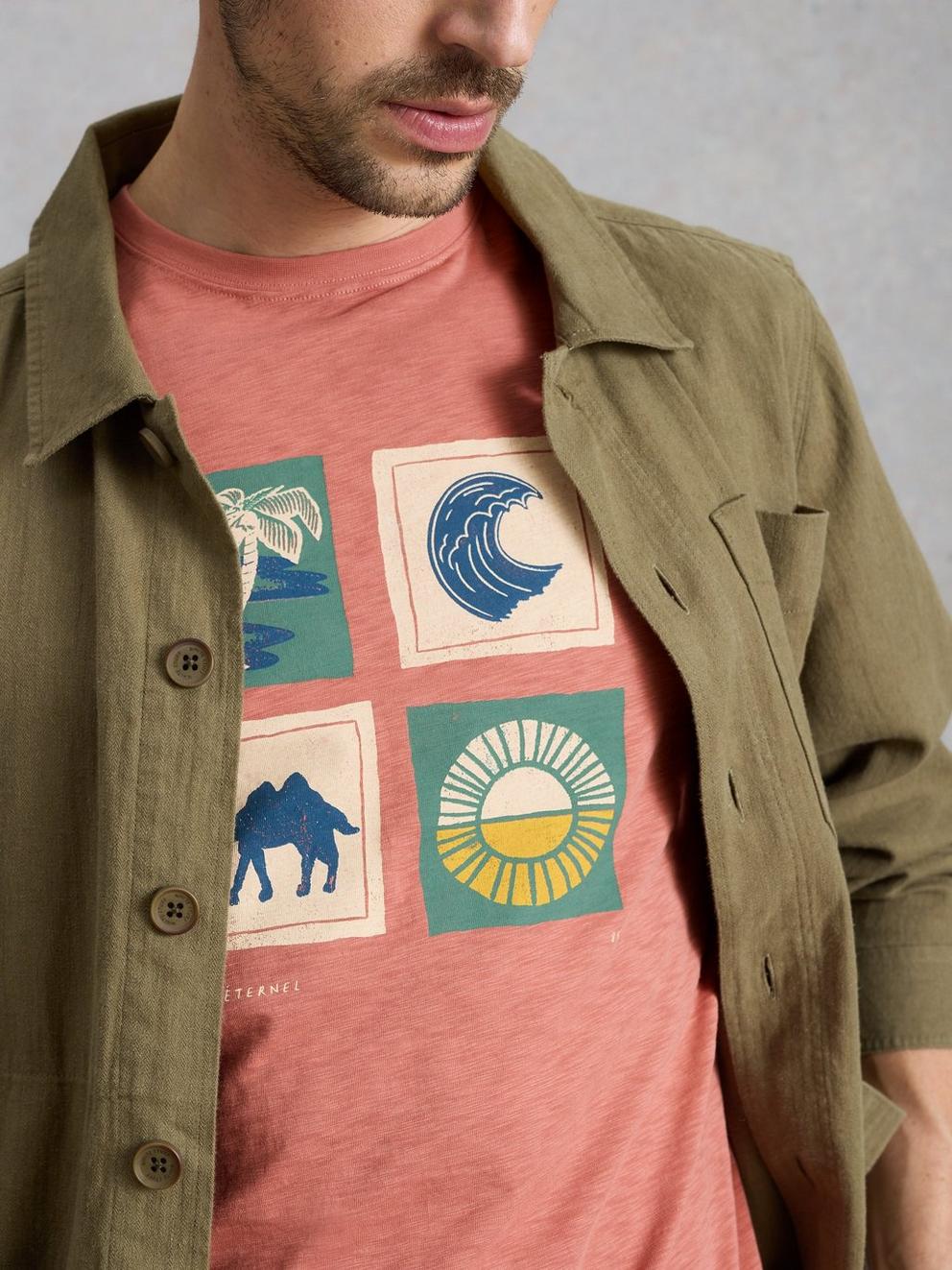 Abersoch Camel Graphic Tee in PINK PR - MODEL DETAIL