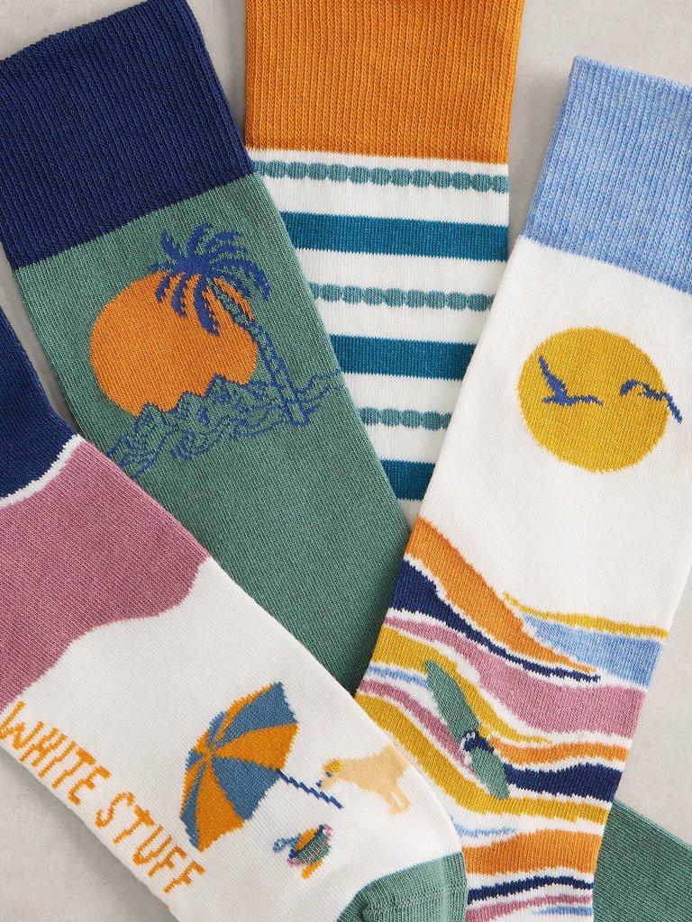 4PK Holiday Ankle Socks in BLUE MLT - FLAT DETAIL