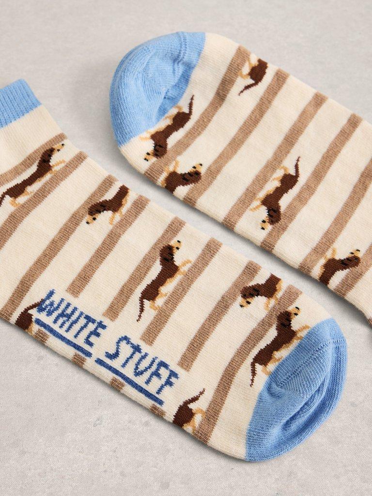 Dog Stripe Trainer Sock in NAT MLT - FLAT DETAIL