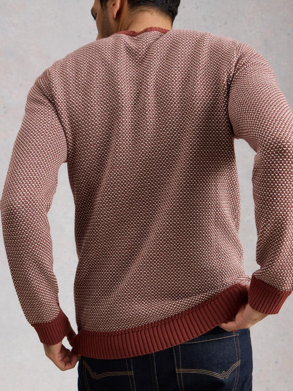 Attadale Crew Neck Pattern in PINK MLT - MODEL BACK