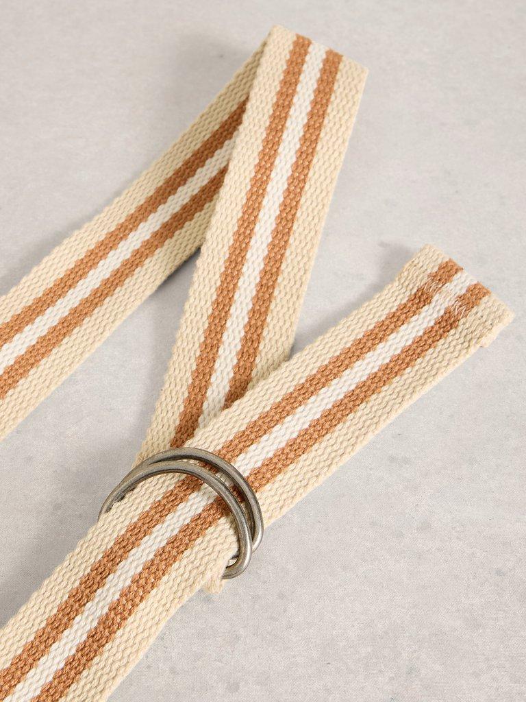 Webbing Belt in NAT MLT - FLAT DETAIL