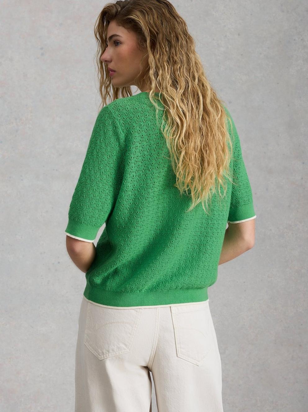 HOLLY POINTELLE TEE in BRT GREEN - MODEL BACK
