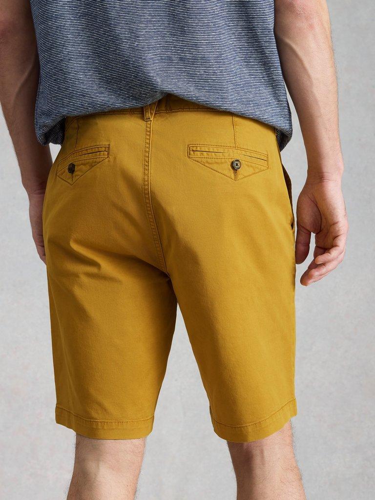 Sutton Organic Plain Chino Short in DP YELLOW - MODEL BACK