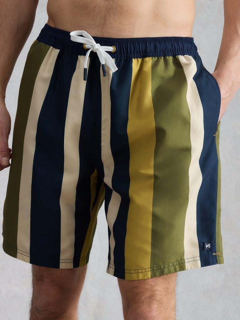 Ventnor Stripe Swimshort in GREEN MLT - LIFESTYLE