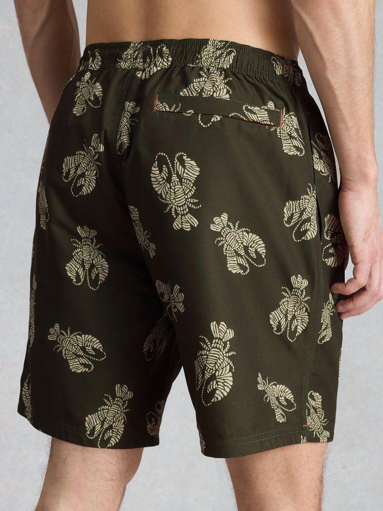 Ventnor Shrimp Swimshort in GREEN PR - MODEL BACK