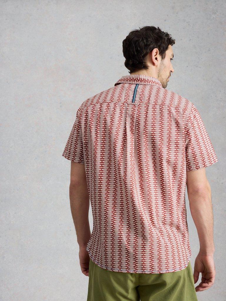 Finsbury SS Fish Printed Shirt in PINK PR - MODEL BACK