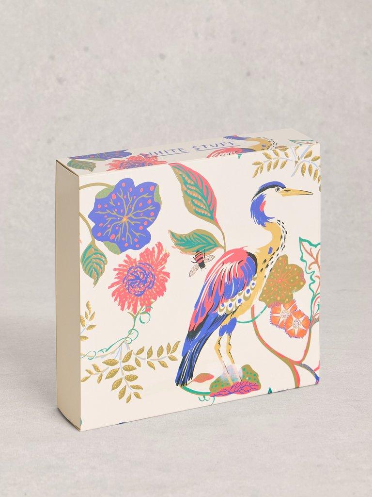 4PK Knicker Gift Box in IVORY PR - FLAT BACK