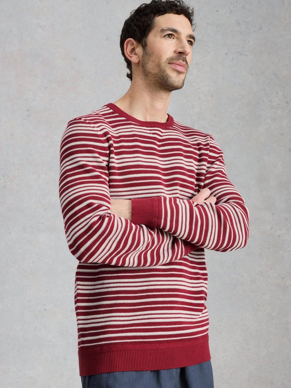 Attadale Crew Neck Thin Stripe in RED MLT - MODEL DETAIL