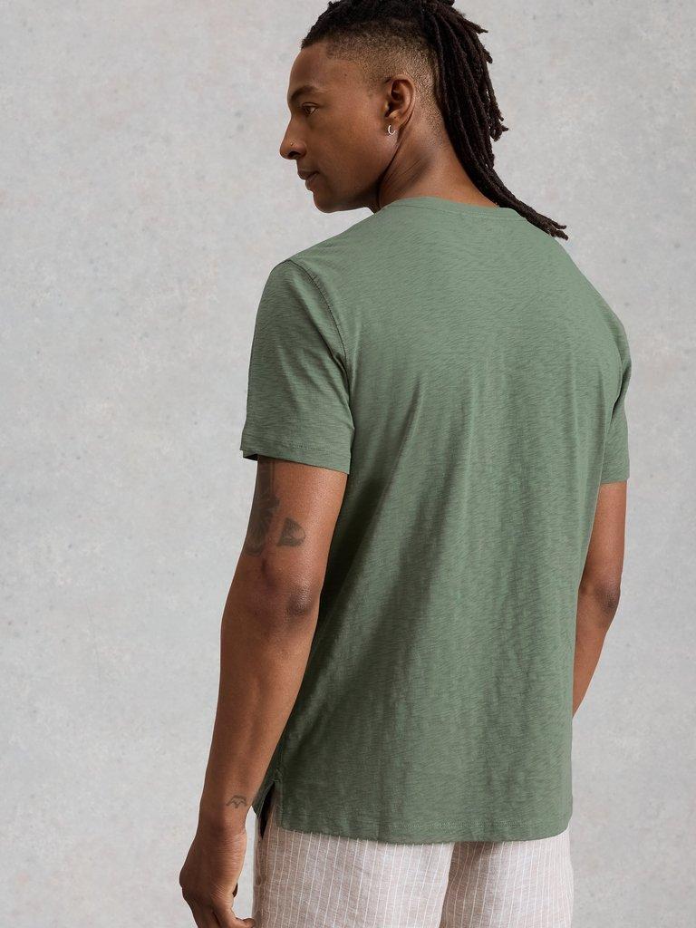 Abersoch Fish Sail Graphic Tee in GREEN PR - MODEL BACK