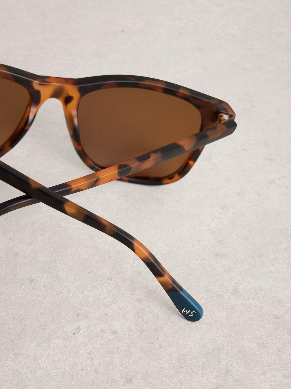 Wayfarer Sunglasses in BROWN MLT - FLAT DETAIL