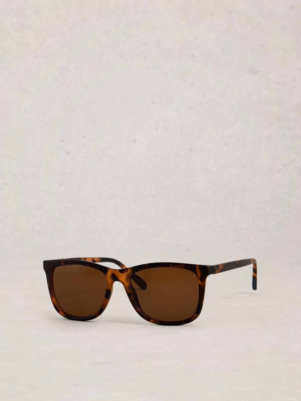 Wayfarer Sunglasses in BROWN MLT - LIFESTYLE