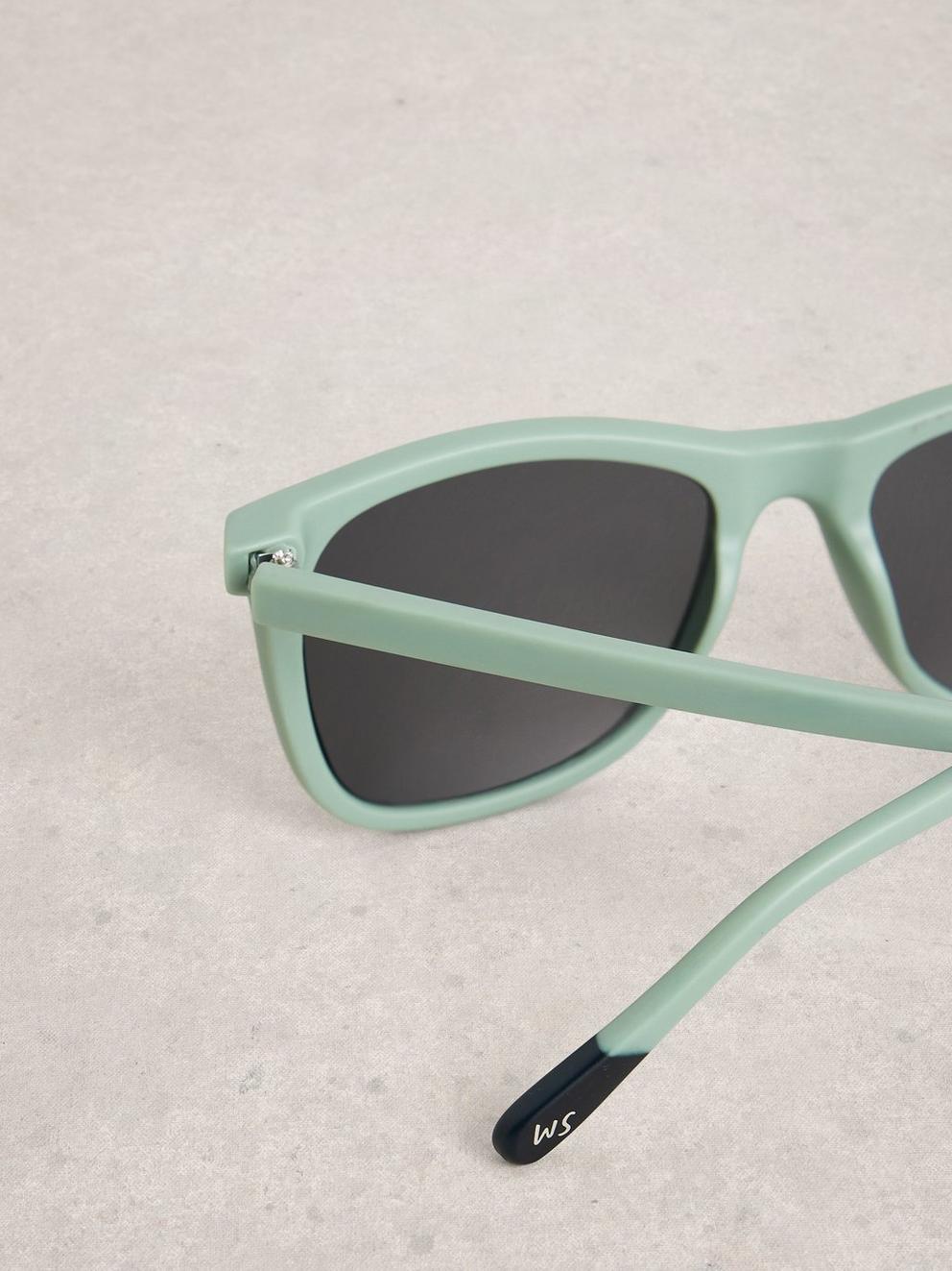 Wayfarer Sunglasses in LGT GREEN - FLAT DETAIL
