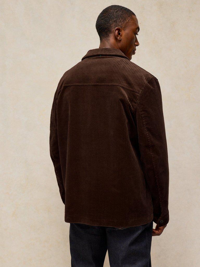 CROSBY CORD JACKET in DK BROWN - MODEL BACK