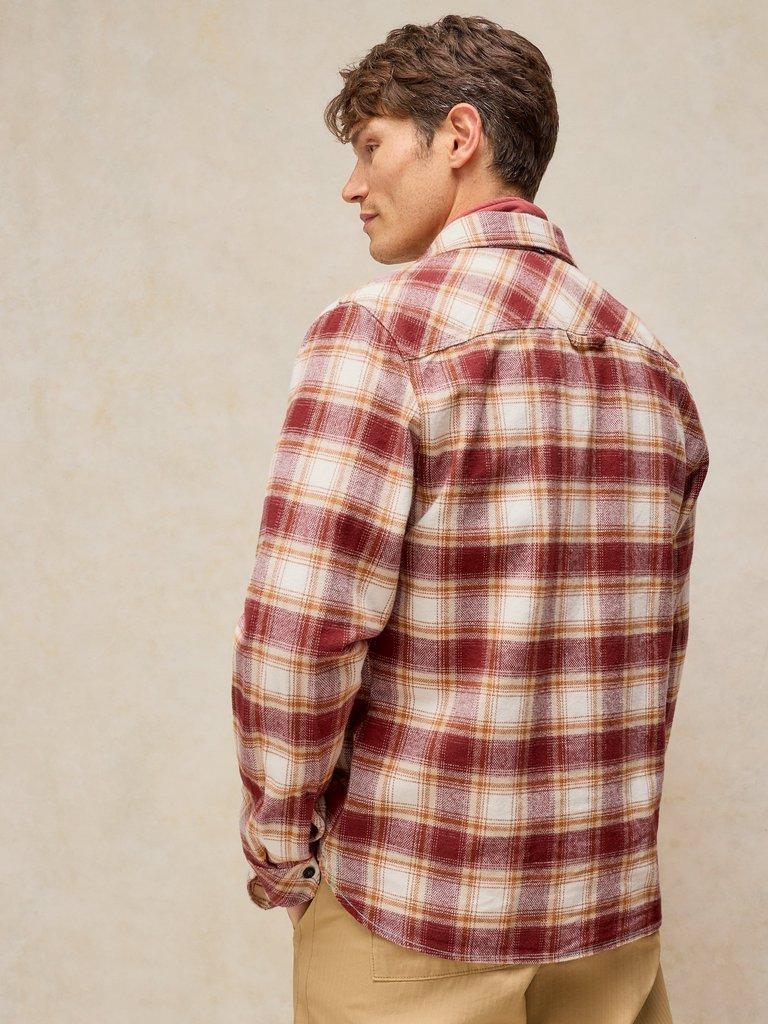 DARWEN CHECK SHIRT in RED MLT - MODEL BACK