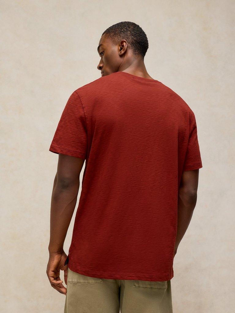 ABERSOCH GRAPHIC TEE in RED PR - MODEL BACK