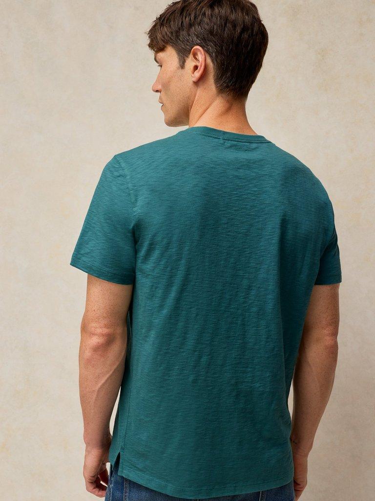 ABERSOCH GRAPHIC TEE in TEAL PR - MODEL BACK