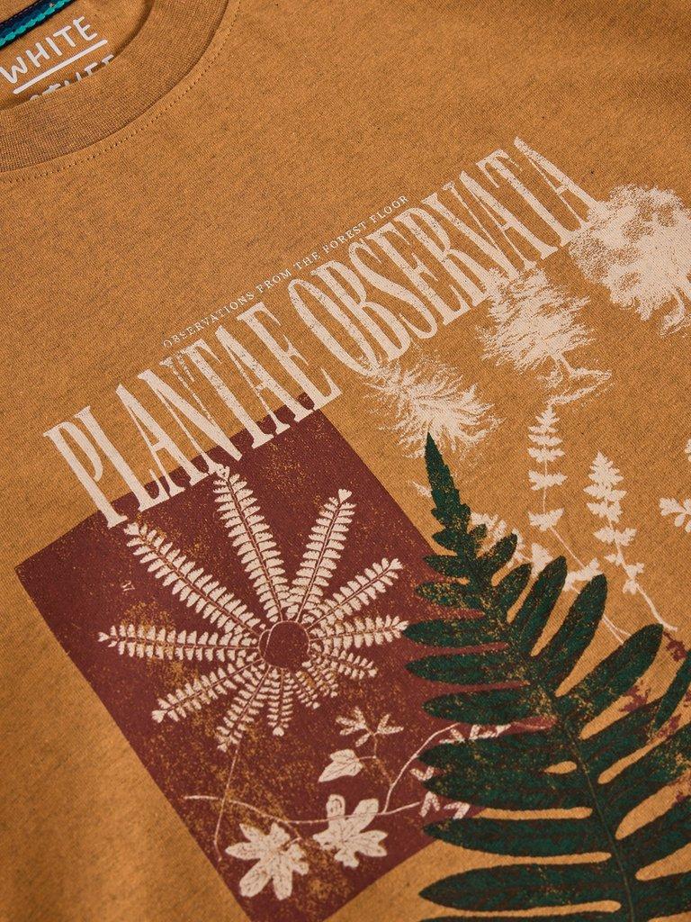 HORSHAM GRAPHIC TEE in TAN PR - FLAT DETAIL
