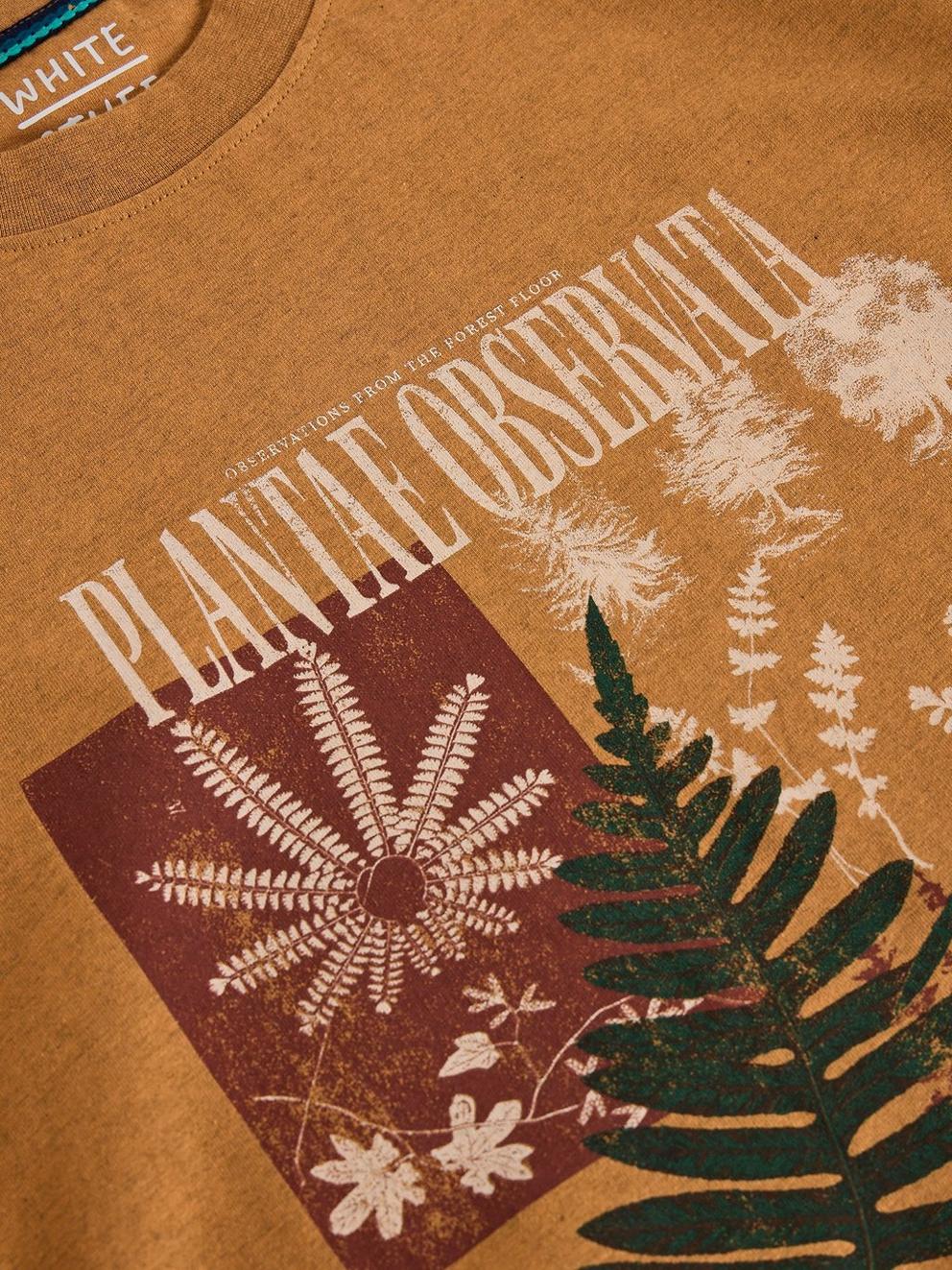 HORSHAM GRAPHIC TEE in TAN PR - FLAT DETAIL