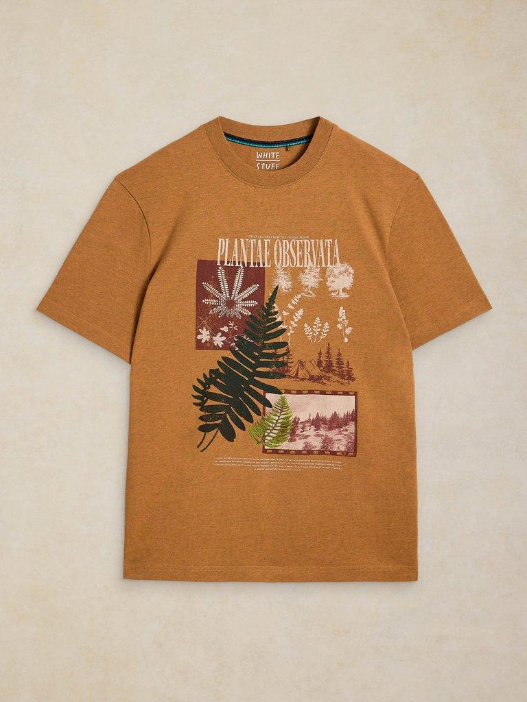 HORSHAM GRAPHIC TEE in TAN PR - FLAT FRONT