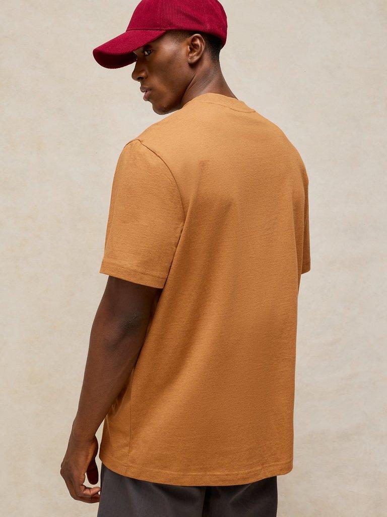 HORSHAM GRAPHIC TEE in TAN PR - MODEL BACK