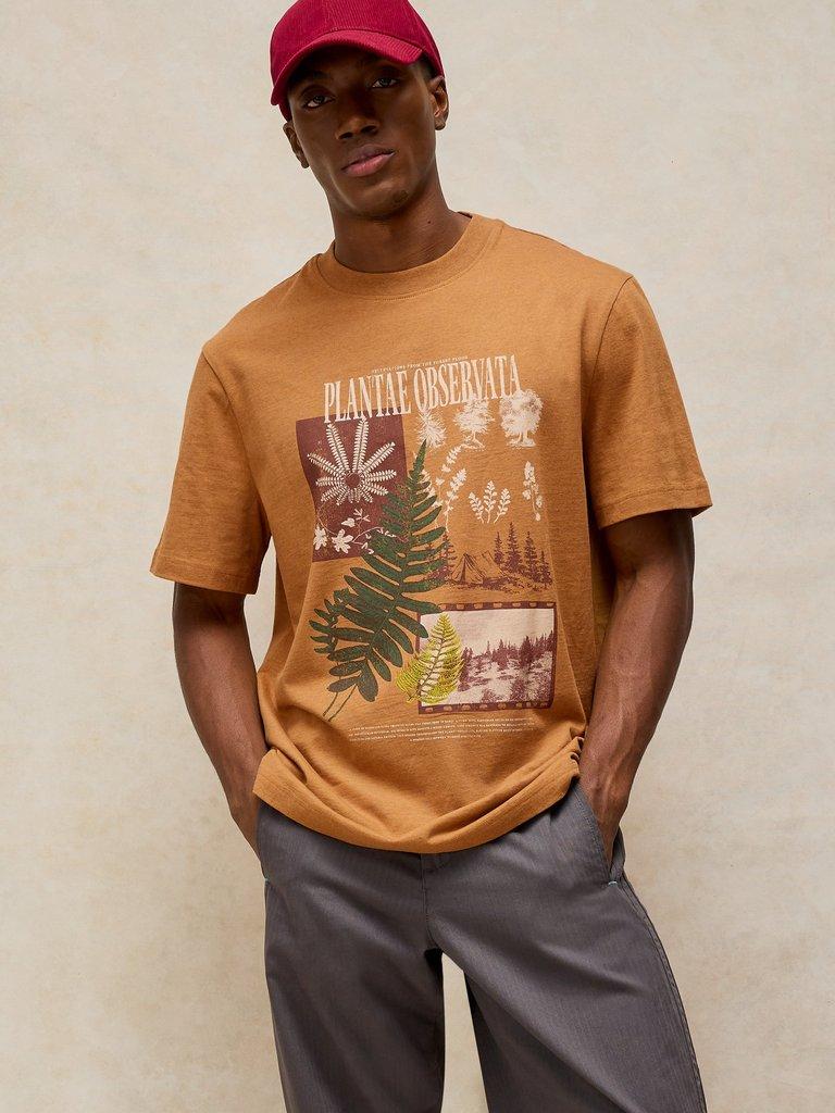 HORSHAM GRAPHIC TEE in TAN PR - MODEL DETAIL
