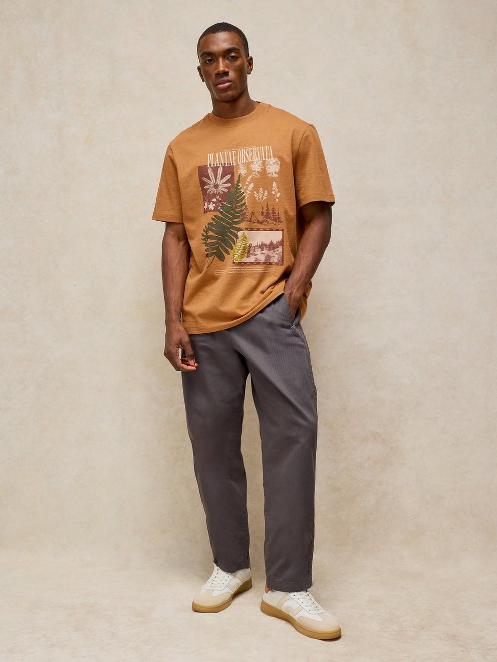 HORSHAM GRAPHIC TEE in TAN PR - MODEL FRONT