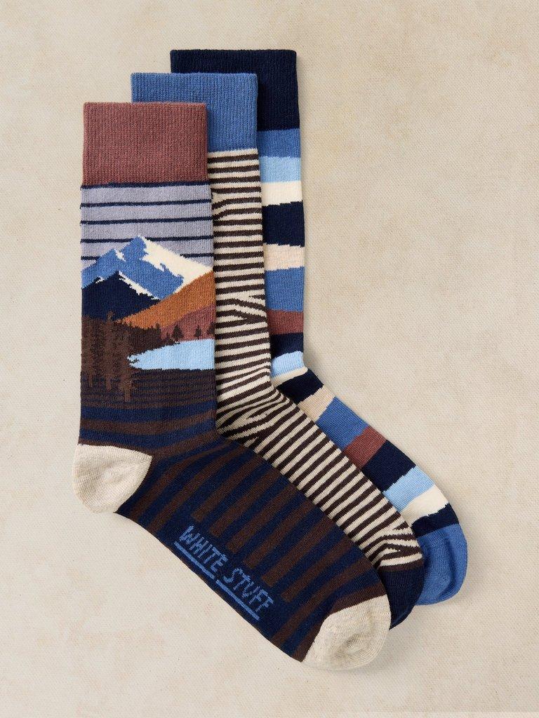 3PK FOREST EXPLORER ANKLE SOCK in GREY MARL - FLAT FRONT