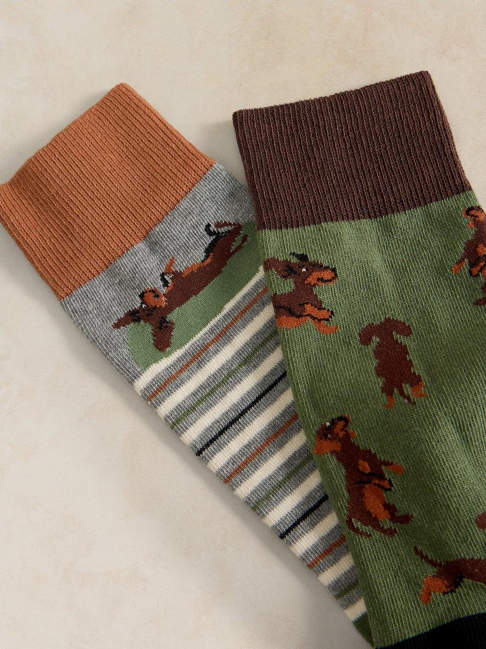 2PK SAUSAGE DOG ANKLE SOCK in GREEN MLT - FLAT DETAIL