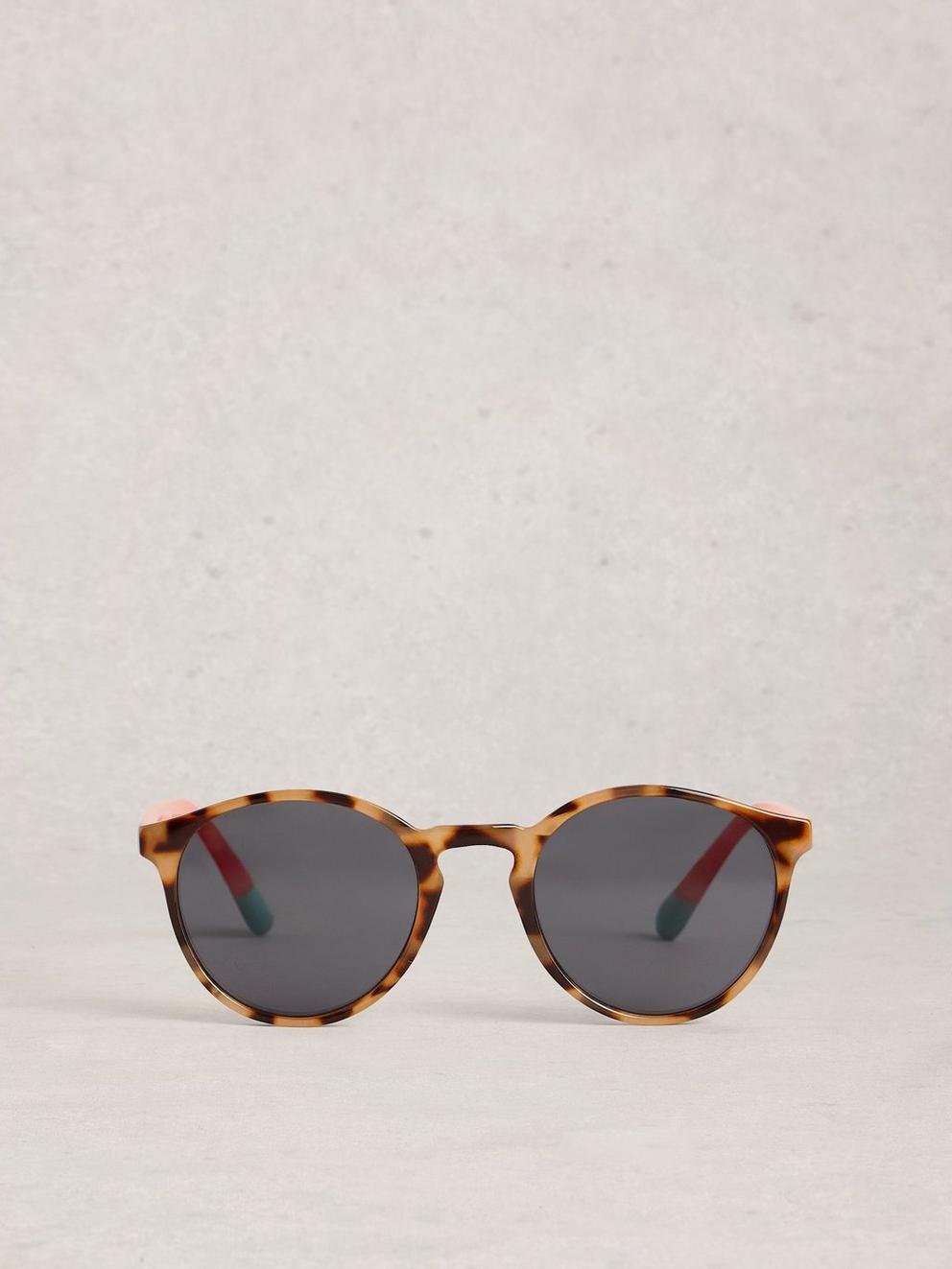 Round Preppy Sunglasses in BROWN MLT - FLAT BACK