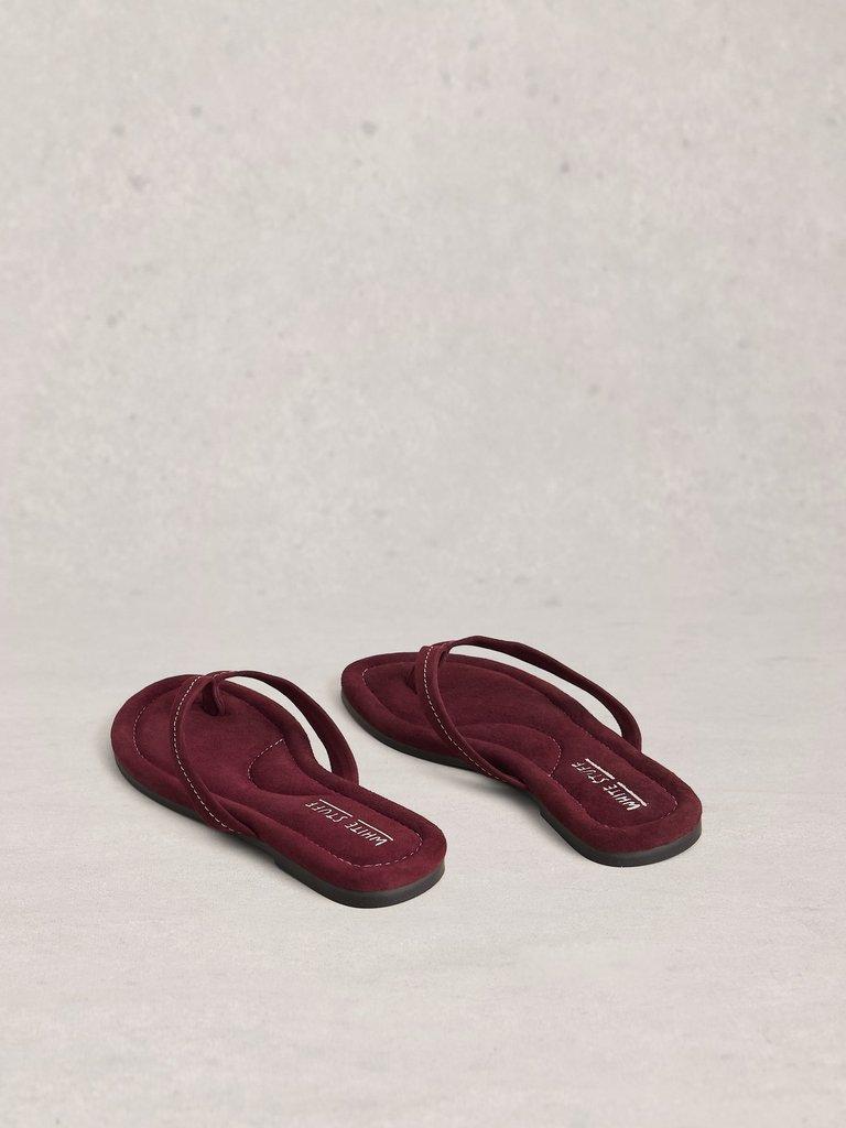 Bay Sandals in DK PLUM - FLAT BACK