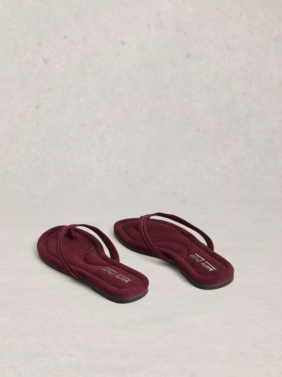 Bay Sandals in DK PLUM - FLAT BACK