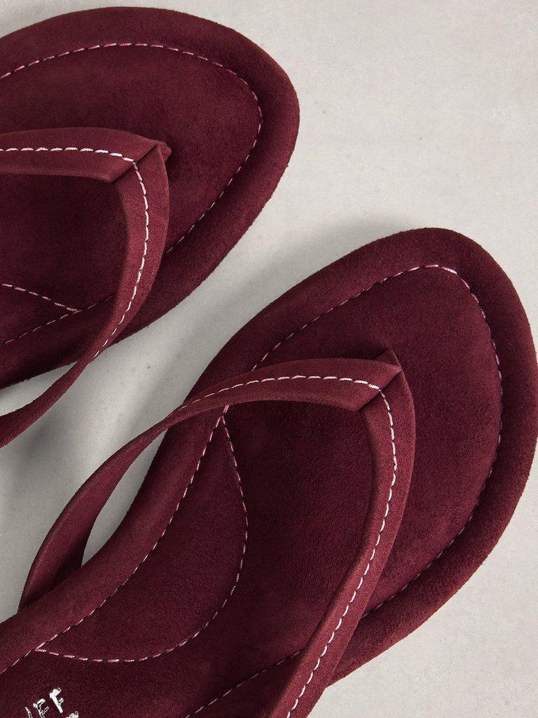 Bay Sandals in DK PLUM - FLAT DETAIL
